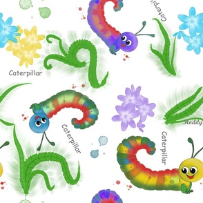 colourful Caterpillars