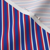 Bigger Scale Team Spirit NHL Hockey Diagonal Stripes in New York Rangers Blue and Red
