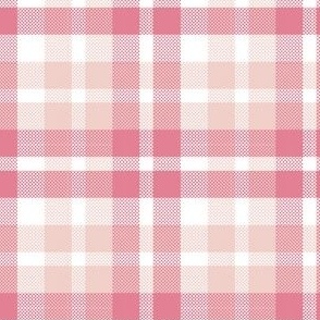 small valentines day plaid / pink