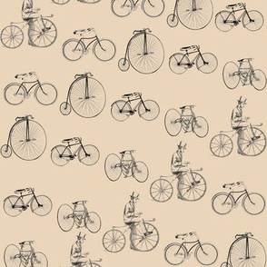 bicycles