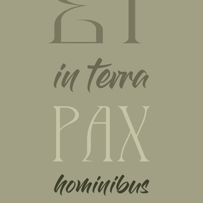 terra_pax_light_olive