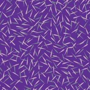 Seedlings purple