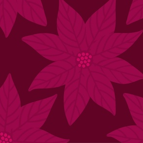  Holiday poinsettia flower on dark red
