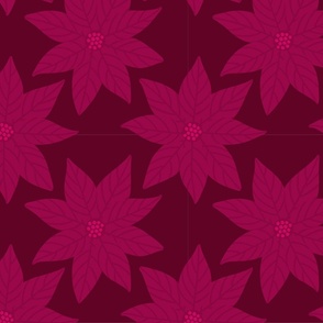 Holiday poinsettia flower on dark red