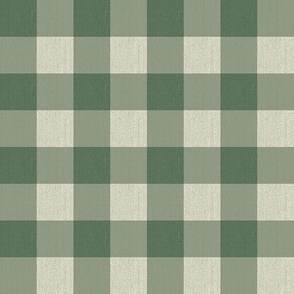 Twill Textured Gingham Check (1" squares) - Forest Green and Cream (TBS197)