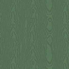 Moire Texture (Medium) - Forest Green  (TBS101A)