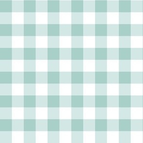 Plain Gingham Duckegg // small