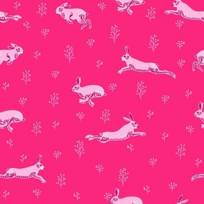 Pink hares