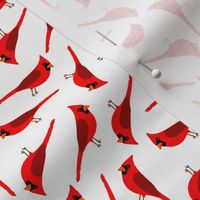 Red cardinal pattern