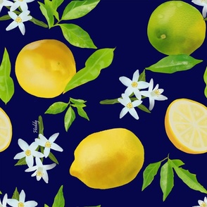 Lemons and lime 