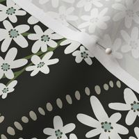 Sweet Alyssum - Worth Beyond Beauty medium scale black 