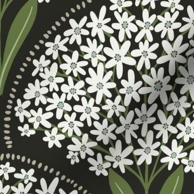 Sweet Alyssum - Worth Beyond Beauty medium scale black 