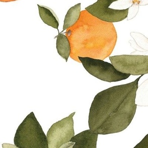 Large Orange Blossom 2