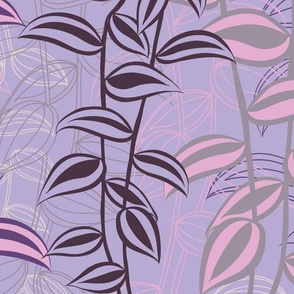Jumbo - A Tranquil & Calming Wall of Trailing Stripy Leaves of Tradescantia Zebrina, Tropical Houseplant - Berry, Purple, Lilac, Pink