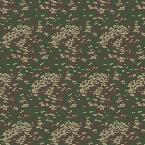 camouflage is  cryptic coloration , camo, medium