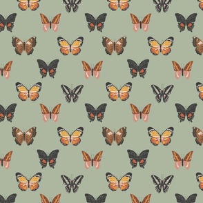 Boho-butterflies-on-sage-8x8