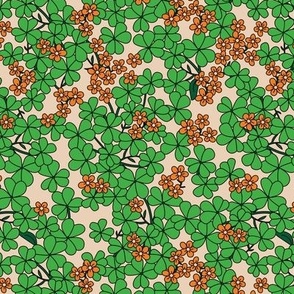 St Patrick's Day shamrock garden - retro clover plants and spring flowers apple green orange on sand  