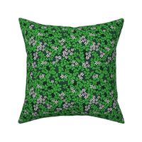 St Patrick's Day shamrock garden - retro clover plants and spring flowers apple green white on pine green 