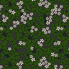 St Patrick's Day shamrock garden - retro clover plants and spring flowers dark olive green charcoal gray 