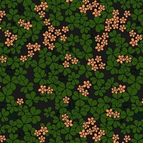 St Patrick's Day shamrock garden - retro clover plants and spring flowers orange green on charcoal 