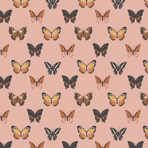 Boho-butterflies-on-muted-rose-8x8