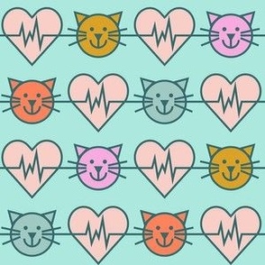 cardiac medical cat teal normal scale