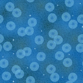 Moon Jellyfish from underwater - Deep Night Blue