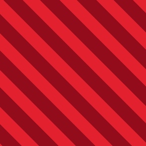 Diagonal Stripe | Red Red Crimson