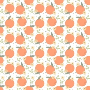 Oranges and Daisies on White