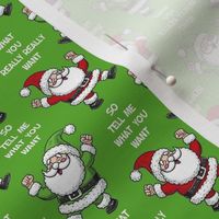 Small-Medium Scale So Tell Me What You Want What You Really Really Want Funny Santa Green