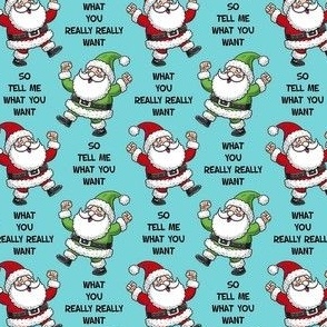 Small-Medium Scale So Tell Me What You Want What You Really Really Want Funny Santa Blue