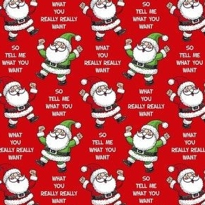 Small-Medium Scale So Tell Me What You Want What You Really Really Want Funny Santa Red