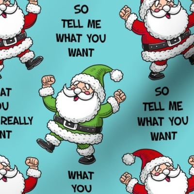 Large Scale So Tell Me What You Want What You Really Really Want Funny Santa Blue