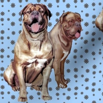 Two Dogue de Bordeaux