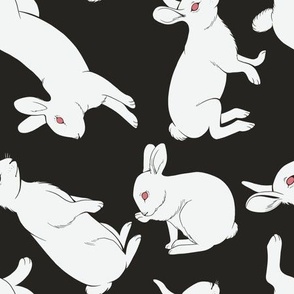 Ruby Eyed White Rabbit │Cute White Bunnies with Red Eyes on Black Fabric