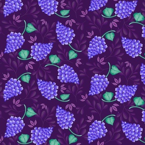 Muscari - Purple