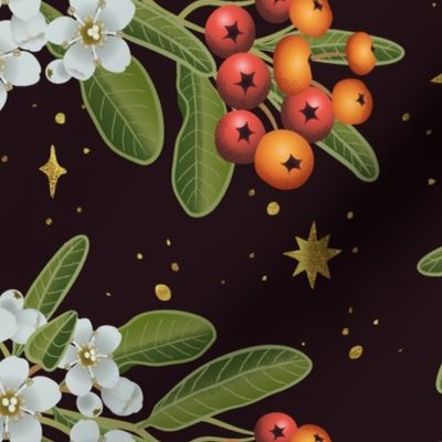 Pyracantha & Golden Stars-XL