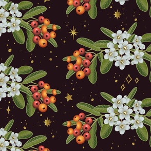 Pyracantha & Golden Stars-XL