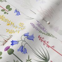 Mini - Modern Stylised Scottish Wildflowers - Thistle, Heather & Gorse - Cream