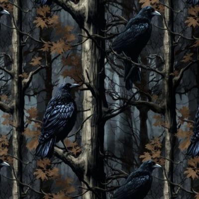 crow in woods