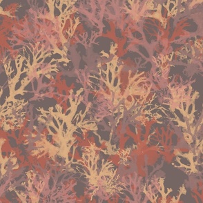 Lichens Pattern 1 Coral