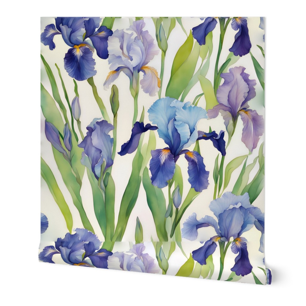 Blue and purple Irises