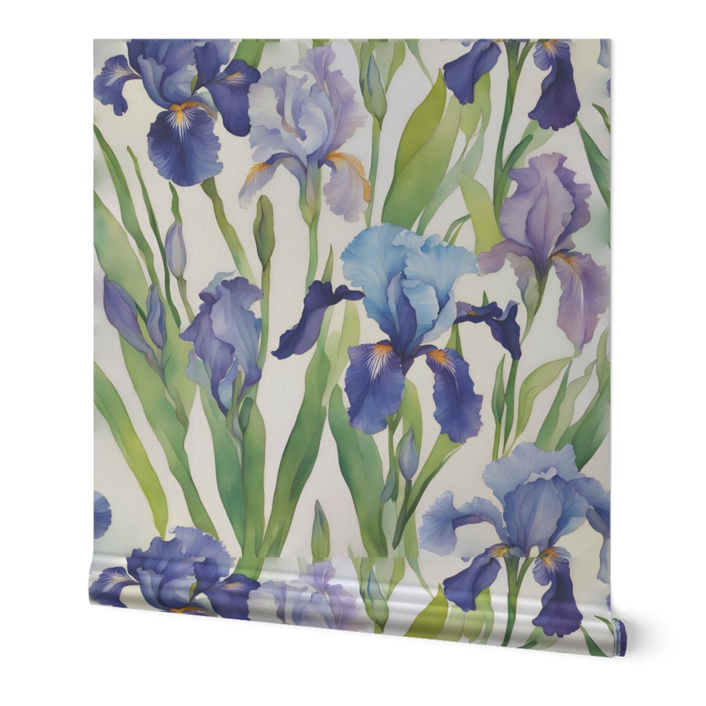 Blue and purple Irises