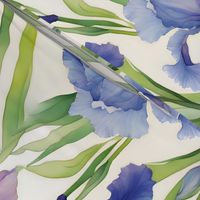 Blue and purple Irises
