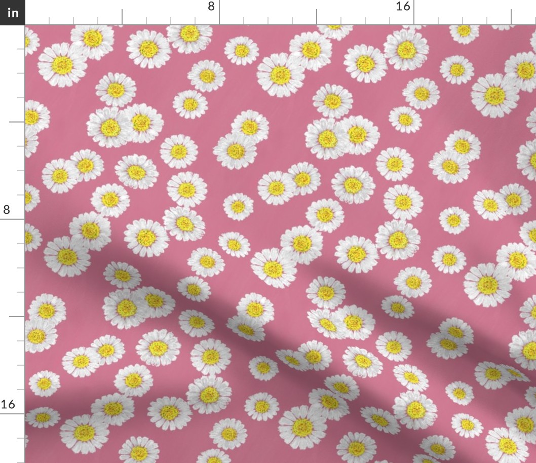 Simply Daisies - coral pink