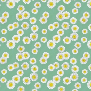 Simply Daisies - Mint Green