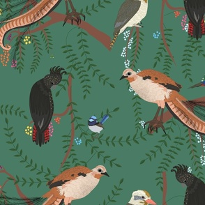 Bush Green Birds Of Paradise, fairy wren, black cockatoo, kookaburra, galah, king parrot, lyre bird