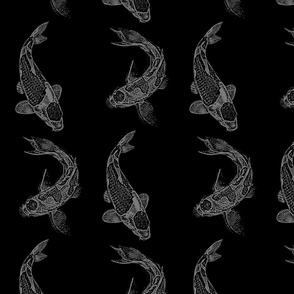 Koi fish on black