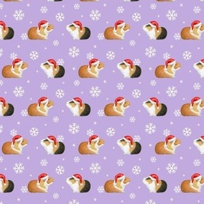 Christmas Guinea Pig Rows with Snowflakes on lilac - small scale