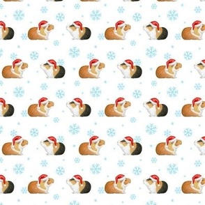 Christmas Guinea Pig Rows with arctic blue Snowflakes on white - small scale